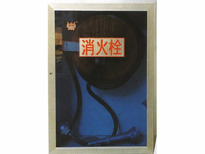 鋁合金門(mén)室內消火栓箱
